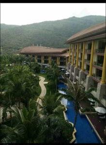 杭州蓝色钱江放火案最新爆料,揭秘悲剧背后的惊人真相